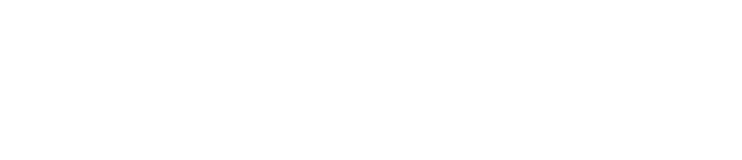 Logo Bandenwisselthuis.nl mobiele banden service